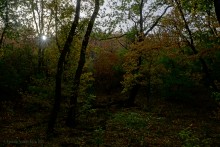 Памятник природы Черная балка