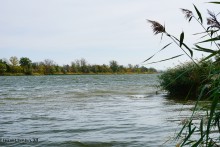 Памятник природы Черная балка