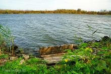 Памятник природы Черная балка