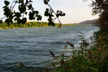 Памятник природы Черная балка