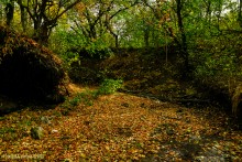 Памятник природы Черная балка