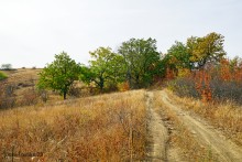 Памятник природы Черная балка