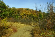 Памятник природы Черная балка