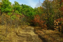 Памятник природы Черная балка