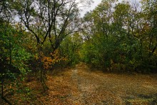 Памятник природы Черная балка