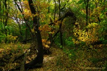 Памятник природы Черная балка