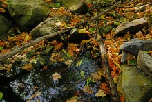 Памятник природы Черная балка