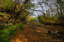 Памятник природы Черная балка