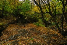 Памятник природы Черная балка