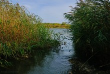 Памятник природы Черная балка