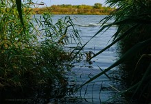 Памятник природы Черная балка