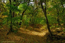 Памятник природы Черная балка