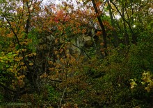 Памятник природы Черная балка