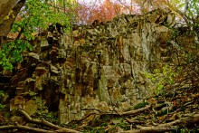 Памятник природы Черная балка