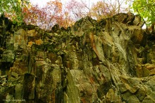 Памятник природы Черная балка