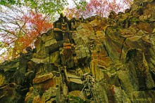 Памятник природы Черная балка