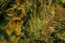 Памятник природы Черная балка