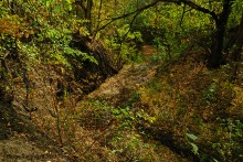 Памятник природы Черная балка