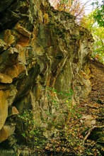 Памятник природы Черная балка