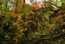 Памятник природы Черная балка