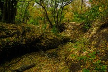 Памятник природы Черная балка