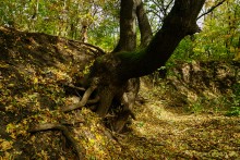 Памятник природы Черная балка