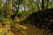 Памятник природы Черная балка