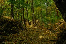 Памятник природы Черная балка