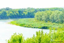 Урочище Черная лука у станицы Вёшенской