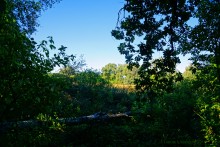 Озеро Ильмень в Шолоховском районе Ростовской области