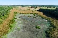 Озеро Ильмень в Шолоховском районе Ростовской области