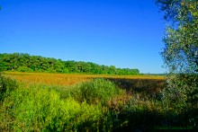 Озеро Ильмень в Шолоховском районе Ростовской области