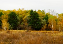 Все цвета осени