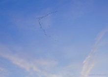 Закат на Дону у станицы Старочеркасской