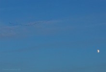 Закат на Дону у станицы Старочеркасской