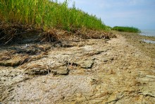 Голубая глина на Азовском побережье