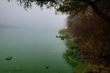 Цветение реки Дон в начале ноября у станицы Старочеркасской