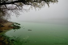 Цветение реки Дон в начале ноября у станицы Старочеркасской