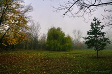 Цветение реки Дон в начале ноября у станицы Старочеркасской