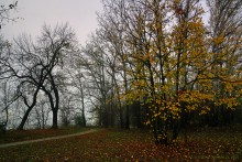 Цветение реки Дон в начале ноября у станицы Старочеркасской