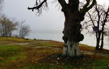 Цветение реки Дон в начале ноября у станицы Старочеркасской