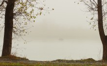 Цветение реки Дон в начале ноября у станицы Старочеркасской