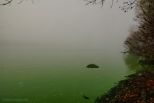 Цветение реки Дон в начале ноября у станицы Старочеркасской