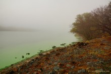 Цветение реки Дон в начале ноября у станицы Старочеркасской