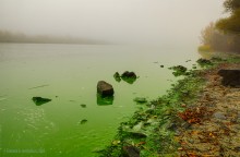 Цветение реки Дон в начале ноября у станицы Старочеркасской