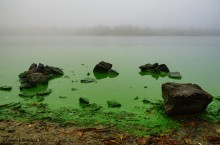 Цветение реки Дон в начале ноября у станицы Старочеркасской