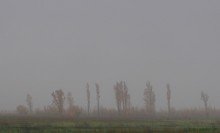 Донское займище у станицы Старочеркасской в ноябре