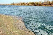 Берега Дона у хутора Калинин