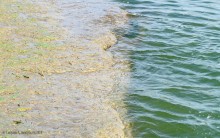 Берега Дона у хутора Калинин