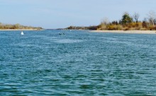 Берега Дона у хутора Калинин